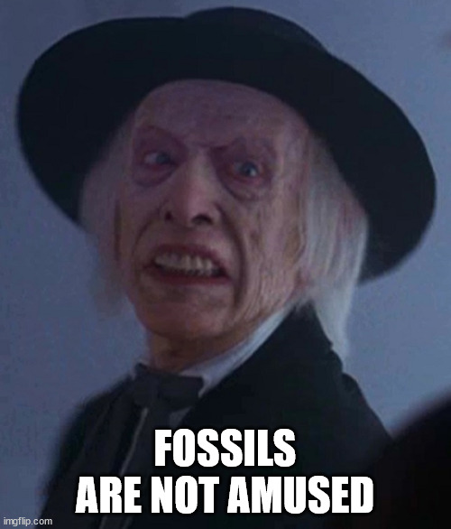 FOSSILS ARE NOT AMUSED | made w/ Imgflip meme maker