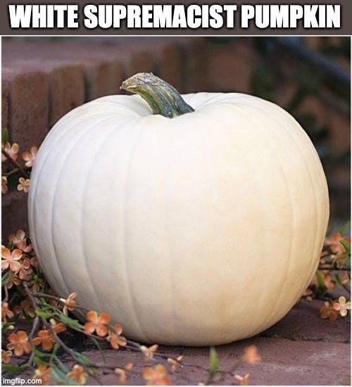 White Pumpkin 500x500 | WHITE SUPREMACIST PUMPKIN | image tagged in white pumpkin 500x500 | made w/ Imgflip meme maker