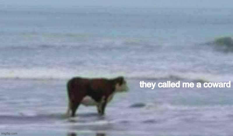 Cow gazing at ocean | they called me a coward | image tagged in cow gazing at ocean,memes,funny | made w/ Imgflip meme maker