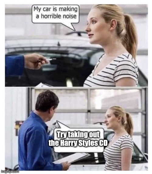 My Car Is Making A Horrible Noise | Try taking out the Harry Styles CD | image tagged in my car is making a horrible noise | made w/ Imgflip meme maker