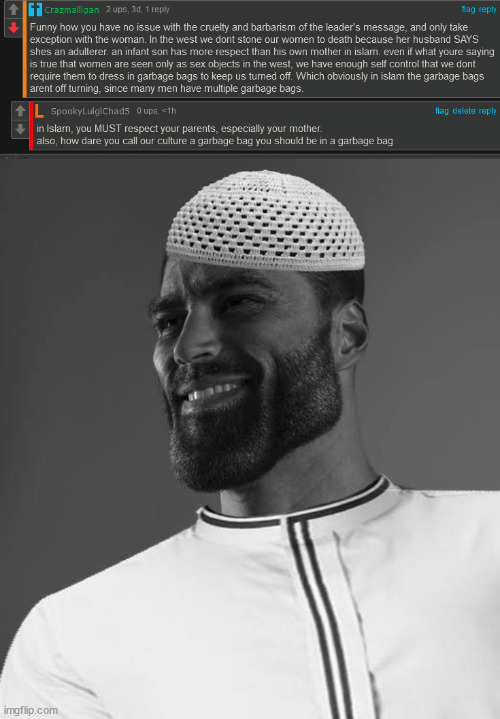OP is saying nonsense things, i made a W comeback | image tagged in muslim gigachad | made w/ Imgflip meme maker