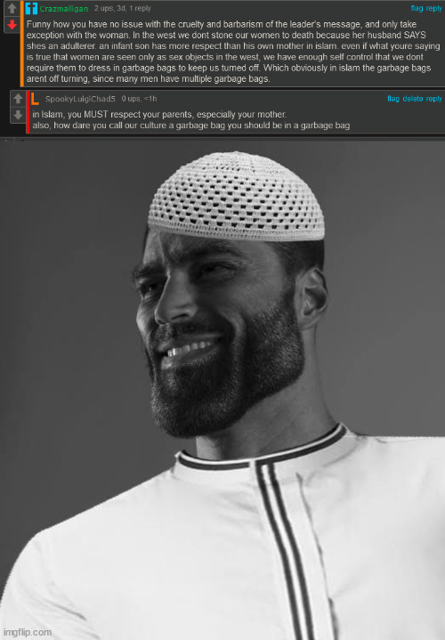 OP is saying nonsense things, i made a W comeback Blank Meme Template