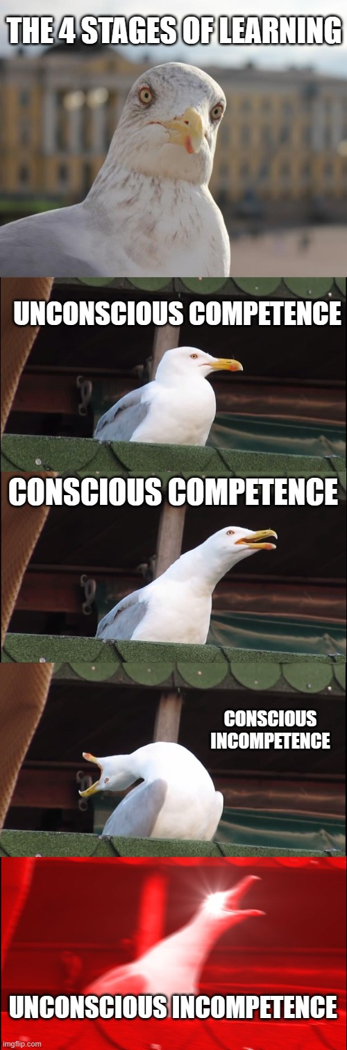 the 4 stages of learning. | THE 4 STAGES OF LEARNING; UNCONSCIOUS COMPETENCE; CONSCIOUS COMPETENCE; CONSCIOUS INCOMPETENCE; UNCONSCIOUS INCOMPETENCE | image tagged in arrogant seagull,memes,inhaling seagull | made w/ Imgflip meme maker