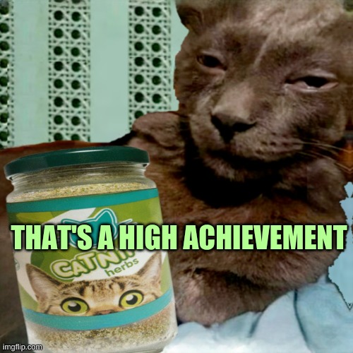 Shit Poster 4 Lyfe | THAT'S A HIGH ACHIEVEMENT | image tagged in ship osta 4 lyfe | made w/ Imgflip meme maker