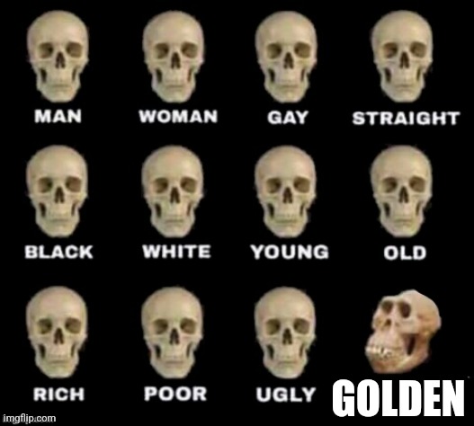 Mf really thought I posted my real zip code and called me a meat rider | GOLDEN | image tagged in idiot skull | made w/ Imgflip meme maker