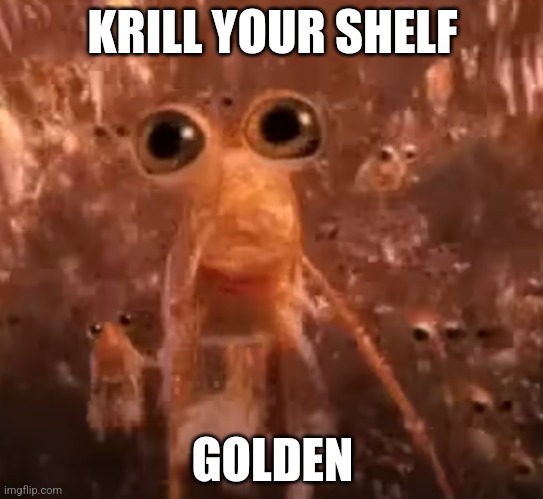 Krill all of your shelves | KRILL YOUR SHELF; GOLDEN | image tagged in krill | made w/ Imgflip meme maker