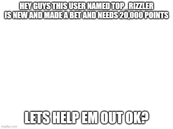 help em out guys | HEY GUYS THIS USER NAMED TOP_RIZZLER IS NEW AND MADE A BET AND NEEDS 20,000 POINTS; LETS HELP EM OUT OK? | image tagged in help | made w/ Imgflip meme maker