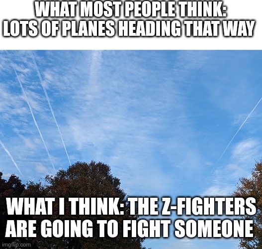 Planes | WHAT MOST PEOPLE THINK: LOTS OF PLANES HEADING THAT WAY; WHAT I THINK: THE Z-FIGHTERS ARE GOING TO FIGHT SOMEONE | image tagged in dragon ball z | made w/ Imgflip meme maker