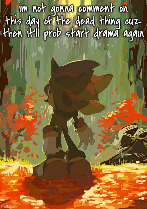 shadow autumn | im not gonna comment on this day of the dead thing cuz then it'll prob start drama again | image tagged in shadow autumn | made w/ Imgflip meme maker