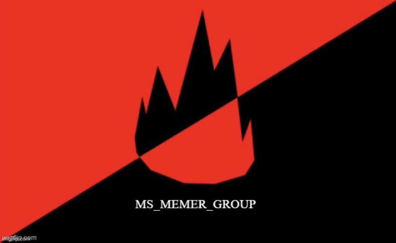 MS memer group flag | image tagged in ms memer group flag | made w/ Imgflip meme maker