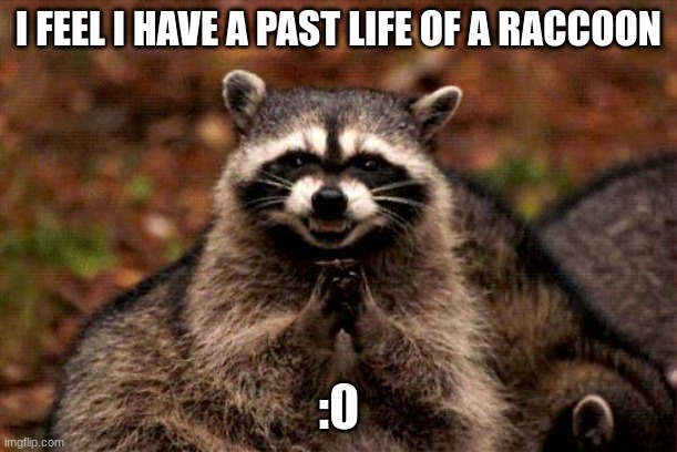 Evil Plotting Raccoon | I FEEL I HAVE A PAST LIFE OF A RACCOON; :0 | image tagged in memes,evil plotting raccoon | made w/ Imgflip meme maker