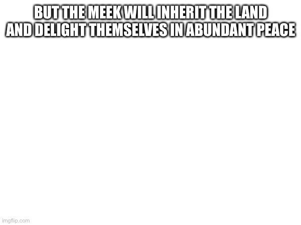Random bible quote 1 | BUT THE MEEK WILL INHERIT THE LAND AND DELIGHT THEMSELVES IN ABUNDANT PEACE | image tagged in bible | made w/ Imgflip meme maker