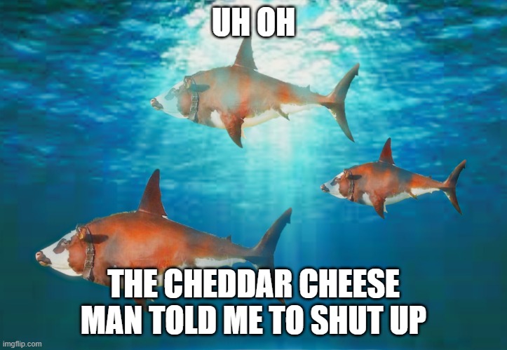 Who is cheddar cheese man? | UH OH; THE CHEDDAR CHEESE MAN TOLD ME TO SHUT UP | image tagged in cowfish | made w/ Imgflip meme maker