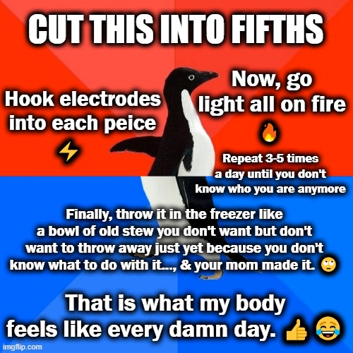Feelings, My feelings, Hurt feelings, Sad feelings, Funny feelings, Tossin & Turnin, Can't sleep., No sleep., Sleepless Sleep. | CUT THIS INTO FIFTHS; Now, go light all on fire; Hook electrodes into each peice; 🔥; Repeat 3-5 times a day until you don't know who you are anymore; ⚡; Finally, throw it in the freezer like a bowl of old stew you don't want but don't want to throw away just yet because you don't know what to do with it..., & your mom made it. 🙄; That is what my body feels like every damn day. 👍😂 | image tagged in memes,socially awesome awkward penguin | made w/ Imgflip meme maker
