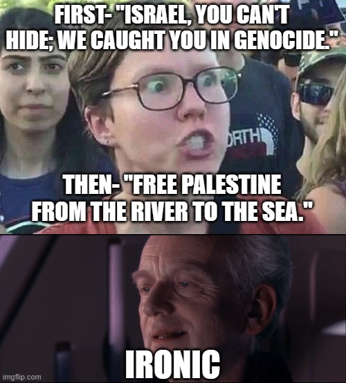FIRST- "ISRAEL, YOU CAN'T HIDE; WE CAUGHT YOU IN GENOCIDE."; THEN- "FREE PALESTINE FROM THE RIVER TO THE SEA."; IRONIC | image tagged in triggered liberal,palpatine ironic | made w/ Imgflip meme maker