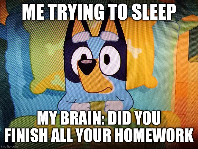 Wait | ME TRYING TO SLEEP; MY BRAIN: DID YOU FINISH ALL YOUR HOMEWORK | image tagged in bluey in bed | made w/ Imgflip meme maker