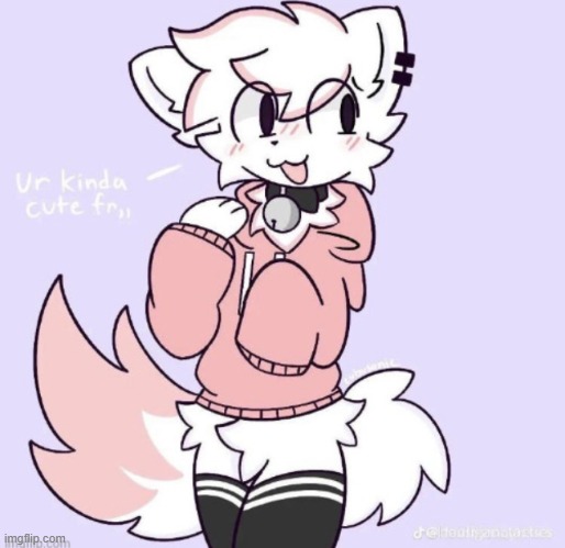 furry owo | image tagged in boykisser glow up | made w/ Imgflip meme maker