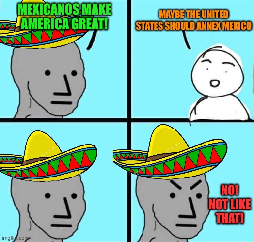 If we take that sentiment to its logical conclusion | MAYBE THE UNITED STATES SHOULD ANNEX MEXICO; MEXICANOS MAKE AMERICA GREAT! NO! NOT LIKE THAT! | image tagged in npc meme,memes,mexico,america,make america great again,immigration | made w/ Imgflip meme maker