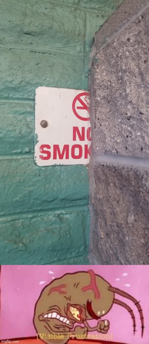 The No Smoking sign blocked | image tagged in visible frustration,no smoking,sign,blocked,you had one job,memes | made w/ Imgflip meme maker
