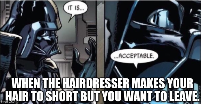 It Is Acceptable | WHEN THE HAIRDRESSER MAKES YOUR HAIR TO SHORT BUT YOU WANT TO LEAVE. | image tagged in it is acceptable | made w/ Imgflip meme maker