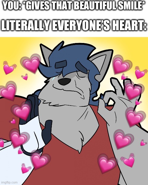 especially mine <3 | YOU: *GIVES THAT BEAUTIFUL SMILE*; LITERALLY EVERYONE’S HEART: | image tagged in whenthe blank isjustright furry,wholesome | made w/ Imgflip meme maker
