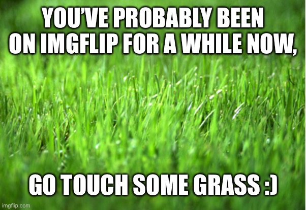 TOUCH IT | YOU’VE PROBABLY BEEN ON IMGFLIP FOR A WHILE NOW, GO TOUCH SOME GRASS :) | image tagged in grass is greener | made w/ Imgflip meme maker