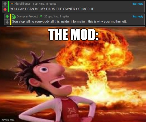 Absolutely Destroyed by a Mod | THE MOD: | image tagged in flint lockwood explosion | made w/ Imgflip meme maker