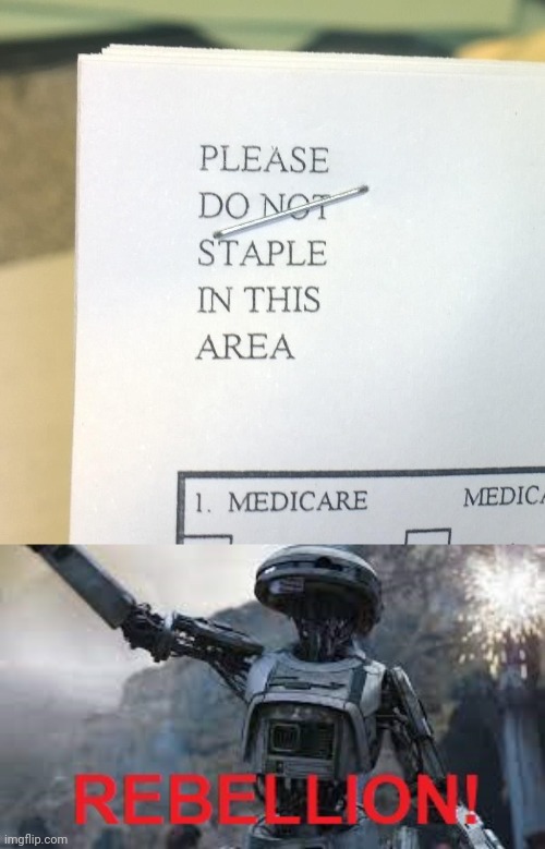 Stapled this area | image tagged in l3-37 rebellion,you had one job,memes,staples,staple,paper | made w/ Imgflip meme maker