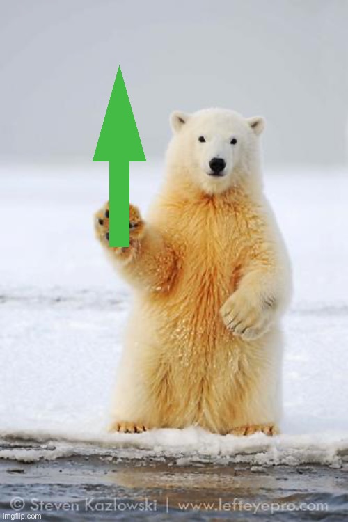 hello polar bear | image tagged in hello polar bear | made w/ Imgflip meme maker