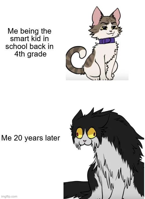 image tagged in cats,school | made w/ Imgflip meme maker