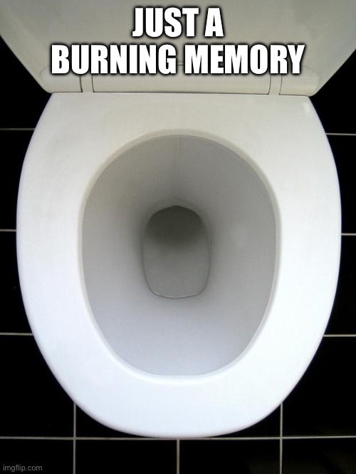 TOILET | JUST A BURNING MEMORY | image tagged in toilet | made w/ Imgflip meme maker
