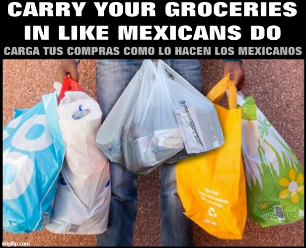 image tagged in groceries,mexico,shopping,mexicans,bags,men | made w/ Imgflip meme maker