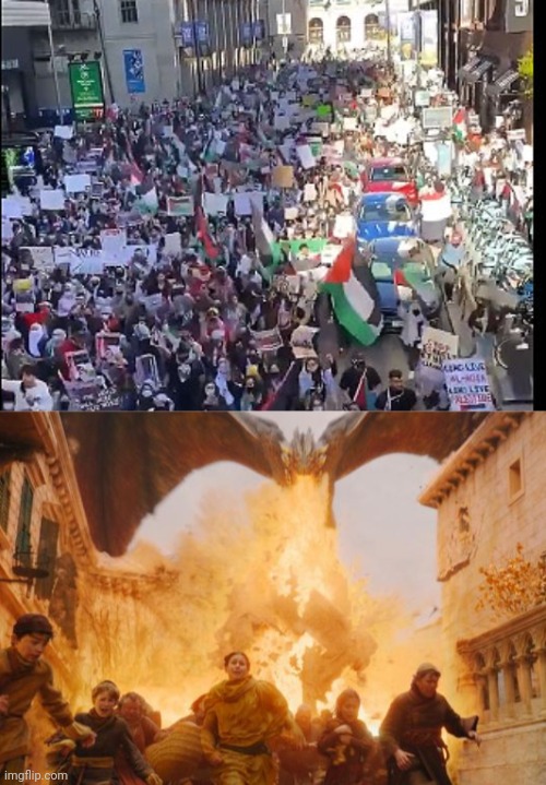 If I had a dragon | image tagged in palestine,protest | made w/ Imgflip meme maker