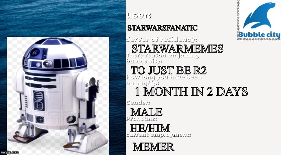 Here | STARWARSFANATIC; STARWARMEMES; TO JUST BE R2; 1 MONTH IN 2 DAYS; MALE; HE/HIM; MEMER | image tagged in official bubble city passport template | made w/ Imgflip meme maker