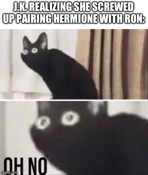 Now she’s stuck wondering if she can Un-Publish | J.K. REALIZING SHE SCREWED UP PAIRING HERMIONE WITH RON: | image tagged in oh no cat,harry potter,magic,despair,books | made w/ Imgflip meme maker