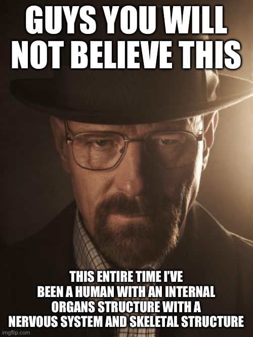 Walter White | GUYS YOU WILL NOT BELIEVE THIS; THIS ENTIRE TIME I’VE BEEN A HUMAN WITH AN INTERNAL ORGANS STRUCTURE WITH A NERVOUS SYSTEM AND SKELETAL STRUCTURE | image tagged in walter white | made w/ Imgflip meme maker