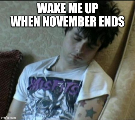 Flippin NNN | WAKE ME UP WHEN NOVEMBER ENDS | image tagged in billie joe armstrong sleeping | made w/ Imgflip meme maker