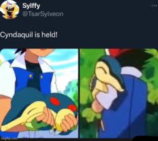 Cyndaquill is held | image tagged in cyndaquill is held | made w/ Imgflip meme maker