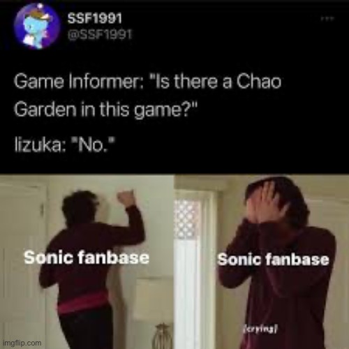 Chao garden | image tagged in chao garden | made w/ Imgflip meme maker