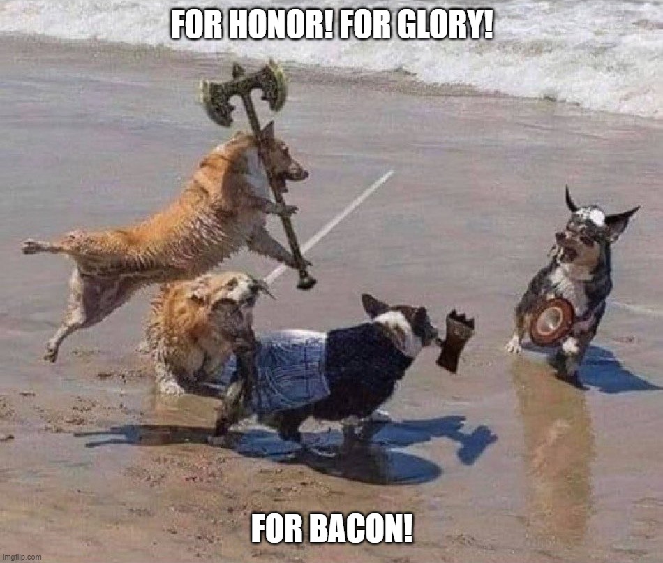 Wargis | FOR HONOR! FOR GLORY! FOR BACON! | image tagged in wargis,corgi,dogs | made w/ Imgflip meme maker