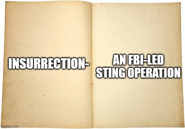 definition | AN FBI-LED STING OPERATION; INSURRECTION- | image tagged in dictionary meme | made w/ Imgflip meme maker