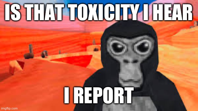 gorilla tag | IS THAT TOXICITY I HEAR; I REPORT | image tagged in gorilla tag | made w/ Imgflip meme maker