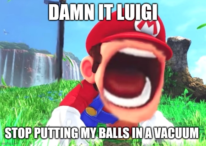 Mario screaming | DAMN IT LUIGI; STOP PUTTING MY BALLS IN A VACUUM | image tagged in mario screaming | made w/ Imgflip meme maker