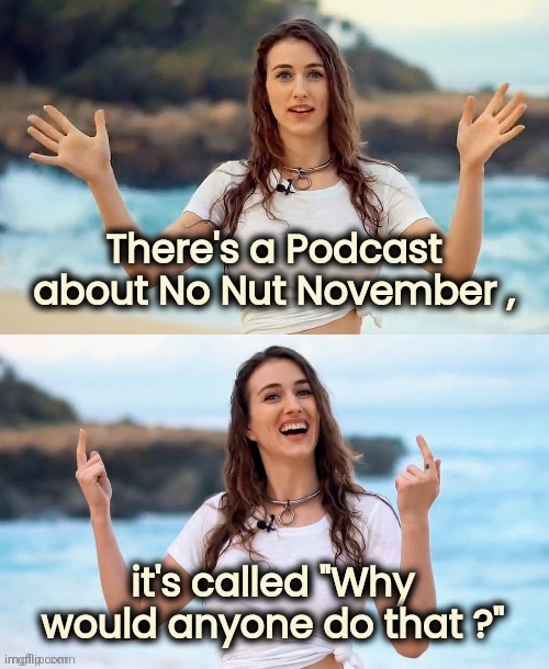 Seriously | There's a Podcast about No Nut November , it's called "Why would anyone do that ?" | image tagged in beach joke,why are you booing me i'm right,that's just silly cat,just say no | made w/ Imgflip meme maker