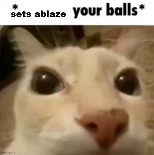 . | sets ablaze | image tagged in x your balls | made w/ Imgflip meme maker