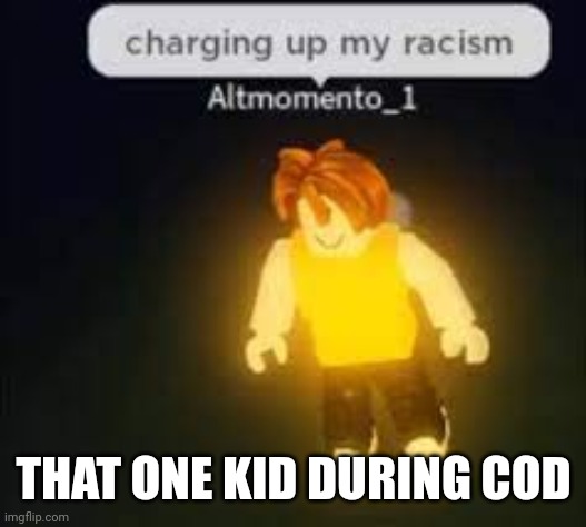 I swear they be throwin the n word around | THAT ONE KID DURING COD | image tagged in racist | made w/ Imgflip meme maker