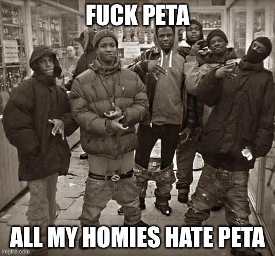 All My Homies Love | FUCK PETA ALL MY HOMIES HATE PETA | image tagged in all my homies love | made w/ Imgflip meme maker