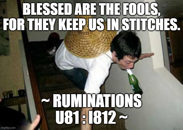 The Fools... | BLESSED ARE THE FOOLS, FOR THEY KEEP US IN STITCHES. ~ RUMINATIONS
U81 : I812 ~ | image tagged in trip and fall down stairs 28 | made w/ Imgflip meme maker
