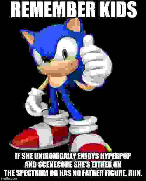 Manlet Sonic Gives Helpful Dating Advice | image tagged in sonic the hedgehog,autism,philosophy | made w/ Imgflip meme maker