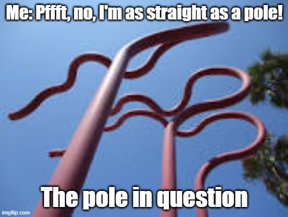 Pole | Me: Pffft, no, I'm as straight as a pole! The pole in question | image tagged in poles | made w/ Imgflip meme maker